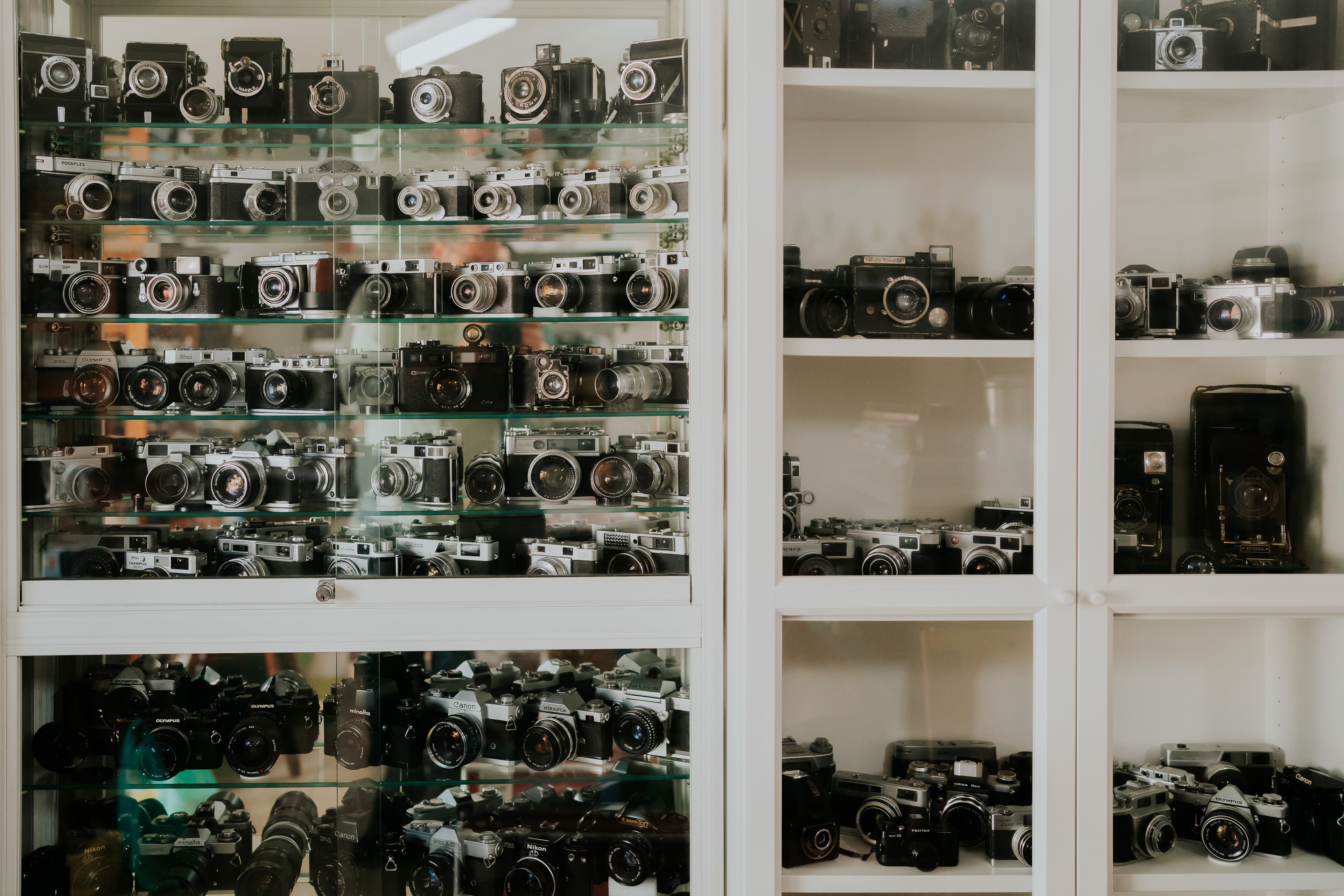 Uma viagem pela evolução da fotografia, contada por dezenas de câmaras. Esta vitrina revela apenas uma parte da nossa coleção, e convida a olhar mais de perto.